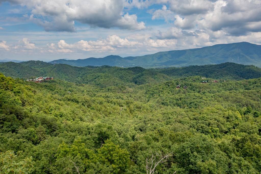 28 Covered Wagon Road Sevierville, TN 37862 - Photo 8 of 10 Gallery Image 8