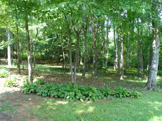 140 North Harper Ridge Road Seneca, SC 29678 - Photo 8 of 9 Gallery Image 8