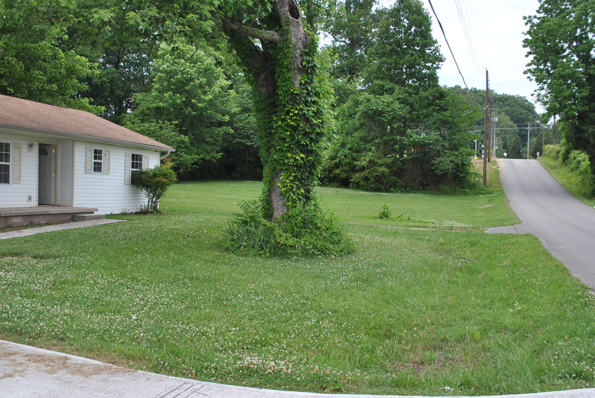 122 South Dogwood Road Powell, TN 37849 - Photo 3 of 8 DSC_0040