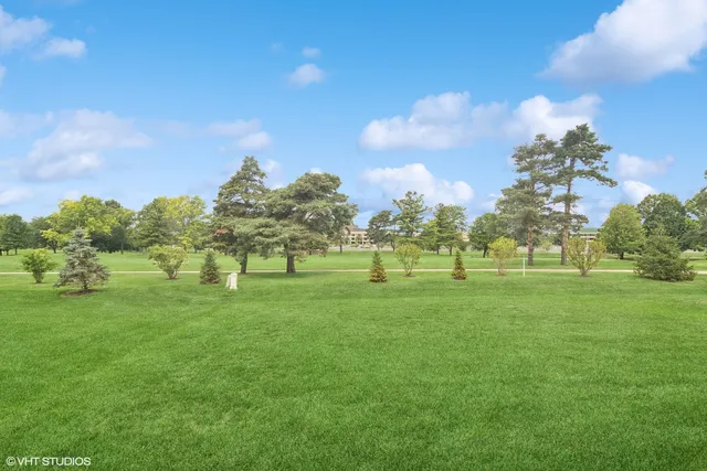 a green field with trees in the background