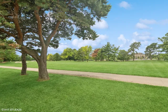 a view of field with tall trees