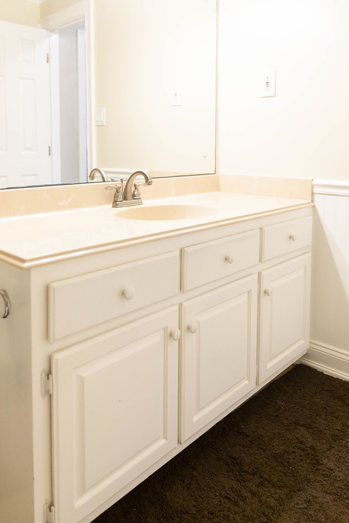 336 Clark Road Seale, AL 36875 - Photo 46 of 66 a close view of a sink and a vanity in the bathroom