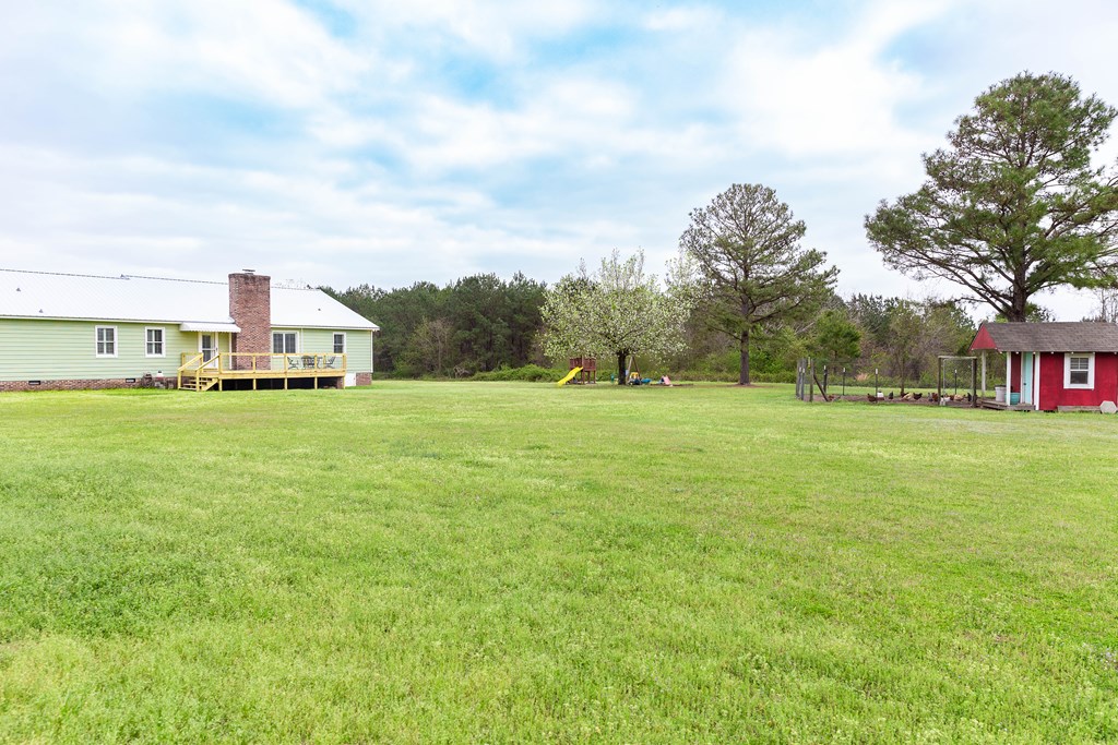336 Clark Road Seale, AL 36875 - Photo 53 of 66 a view of a house with a big yard and large trees