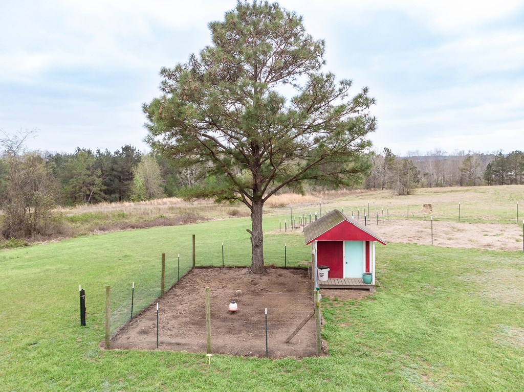 336 Clark Road Seale, AL 36875 - Photo 58 of 66 a view of yard with tree and green space