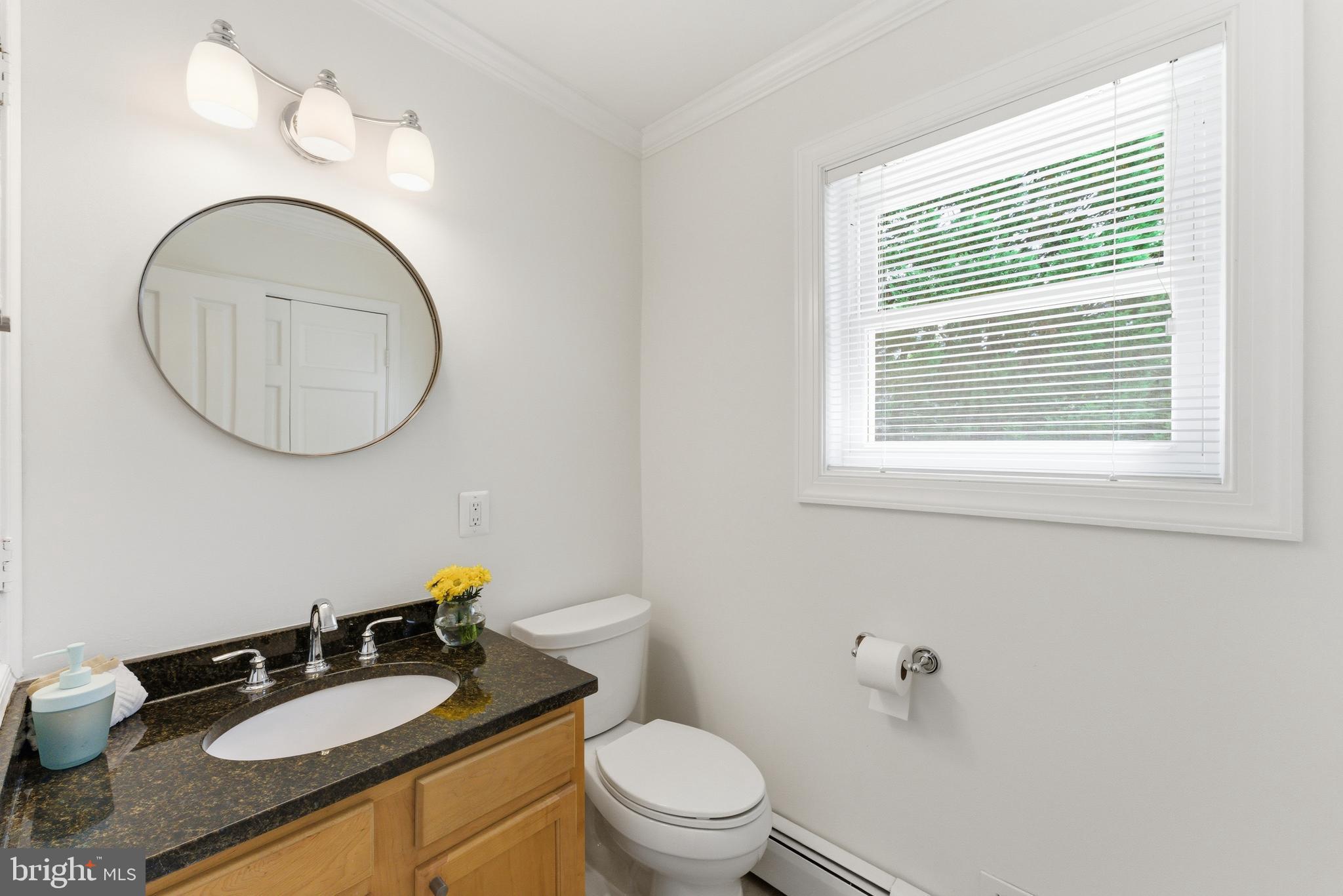 2100 Edgewater Parkway Silver Spring, MD 20903 - Photo 18 of 46 a bathroom with a granite countertop toilet a sink and a mirror