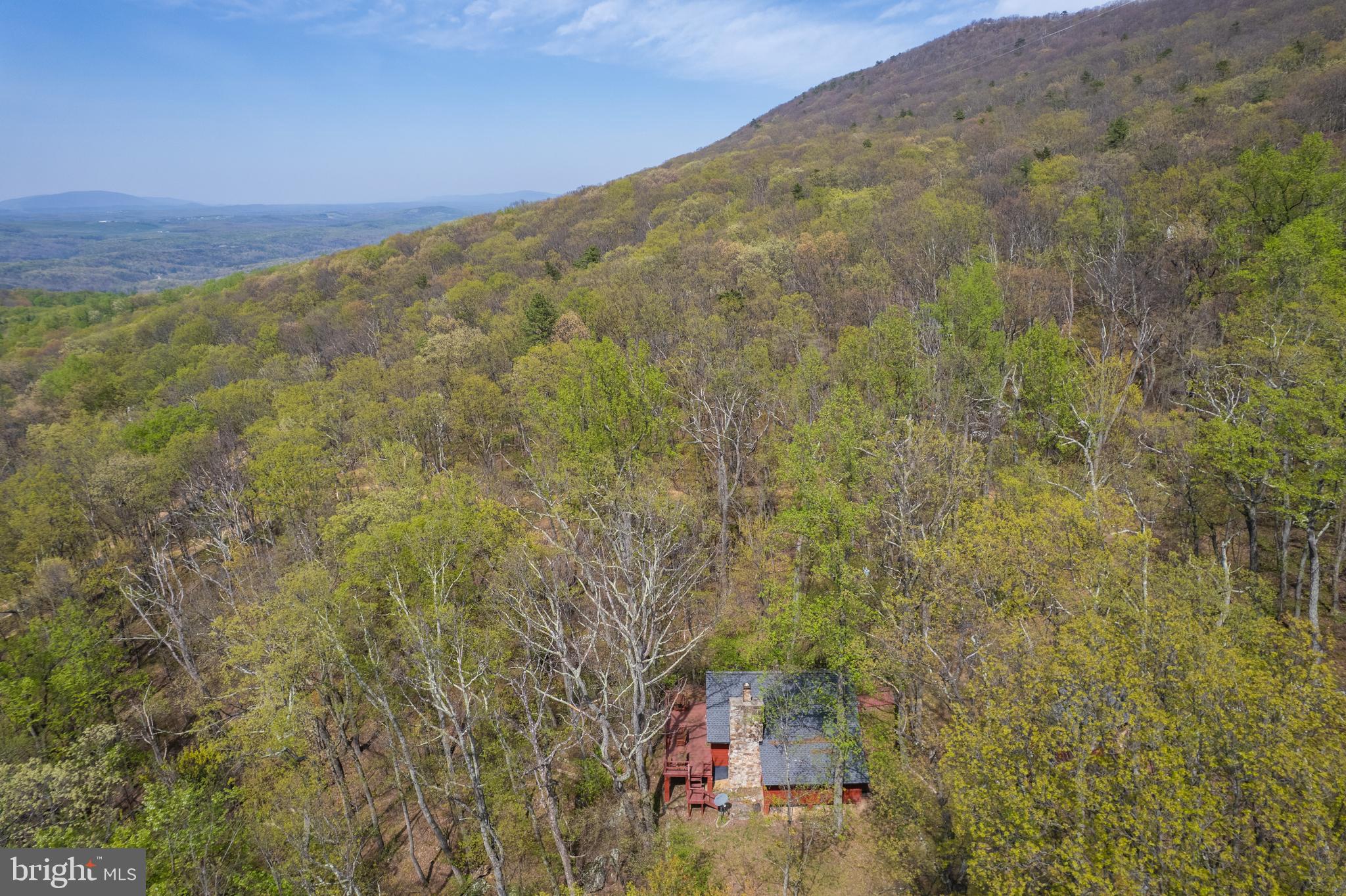 180 Frye Path Road Gore, VA 22637 - Photo 12 of 46