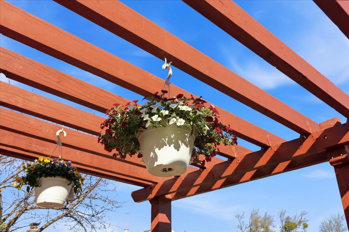 7109 Elba Way Dublin, CA 94568 - Photo 55 of 60 a flower pot with an outdoor space