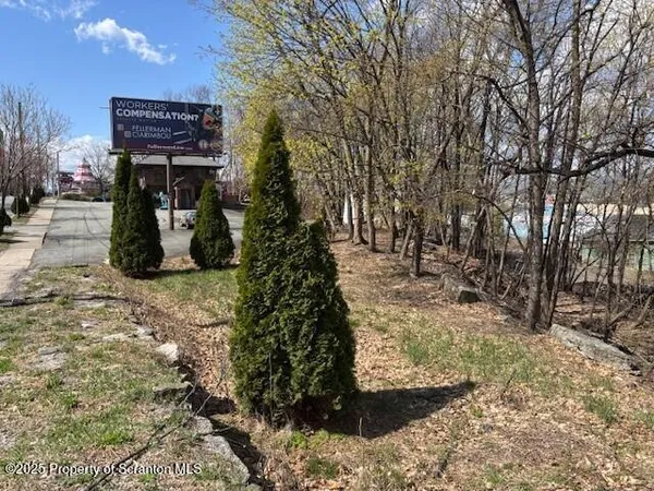 a view of a pathway of a park