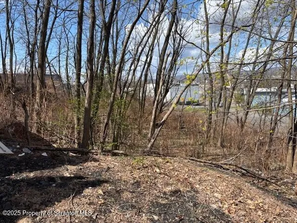 a view of tree next to a building