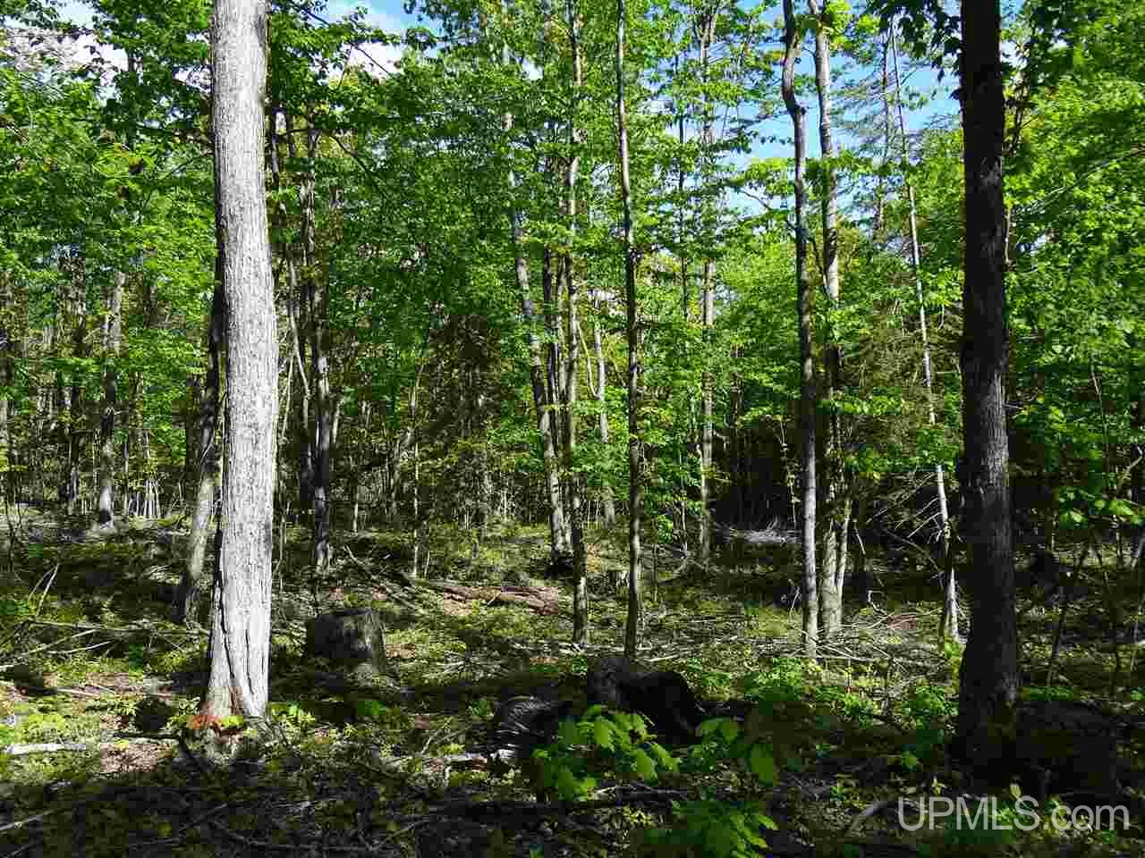 Tbd West Heinola Road Atlantic Mine, MI 49931 - Photo 11 of 17