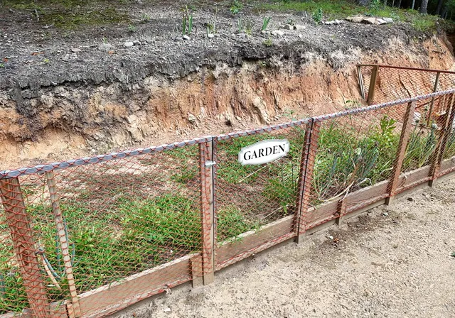 a view of a house with a small yard and plants