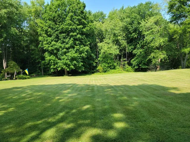 a view of green field with trees in the background