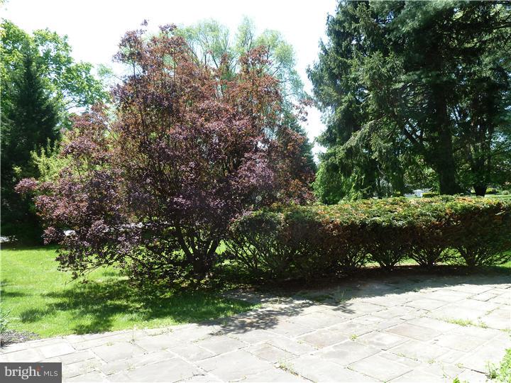 1000 Richmond Road Broomall, PA 19008 - Photo 6 of 25 Patio