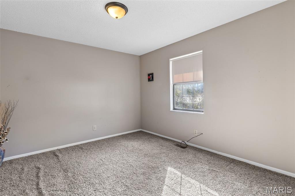 4 Mileva Court Farmington, MO 63640 - Photo 31 of 46