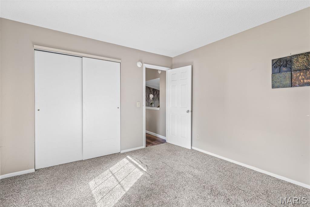 4 Mileva Court Farmington, MO 63640 - Photo 33 of 46