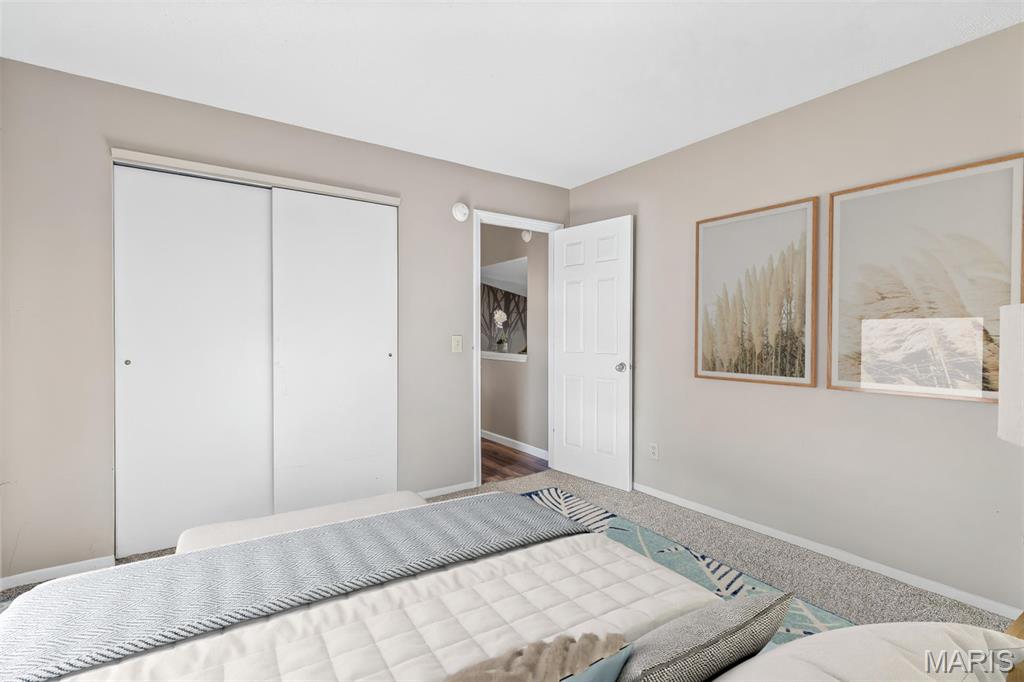 4 Mileva Court Farmington, MO 63640 - Photo 34 of 46