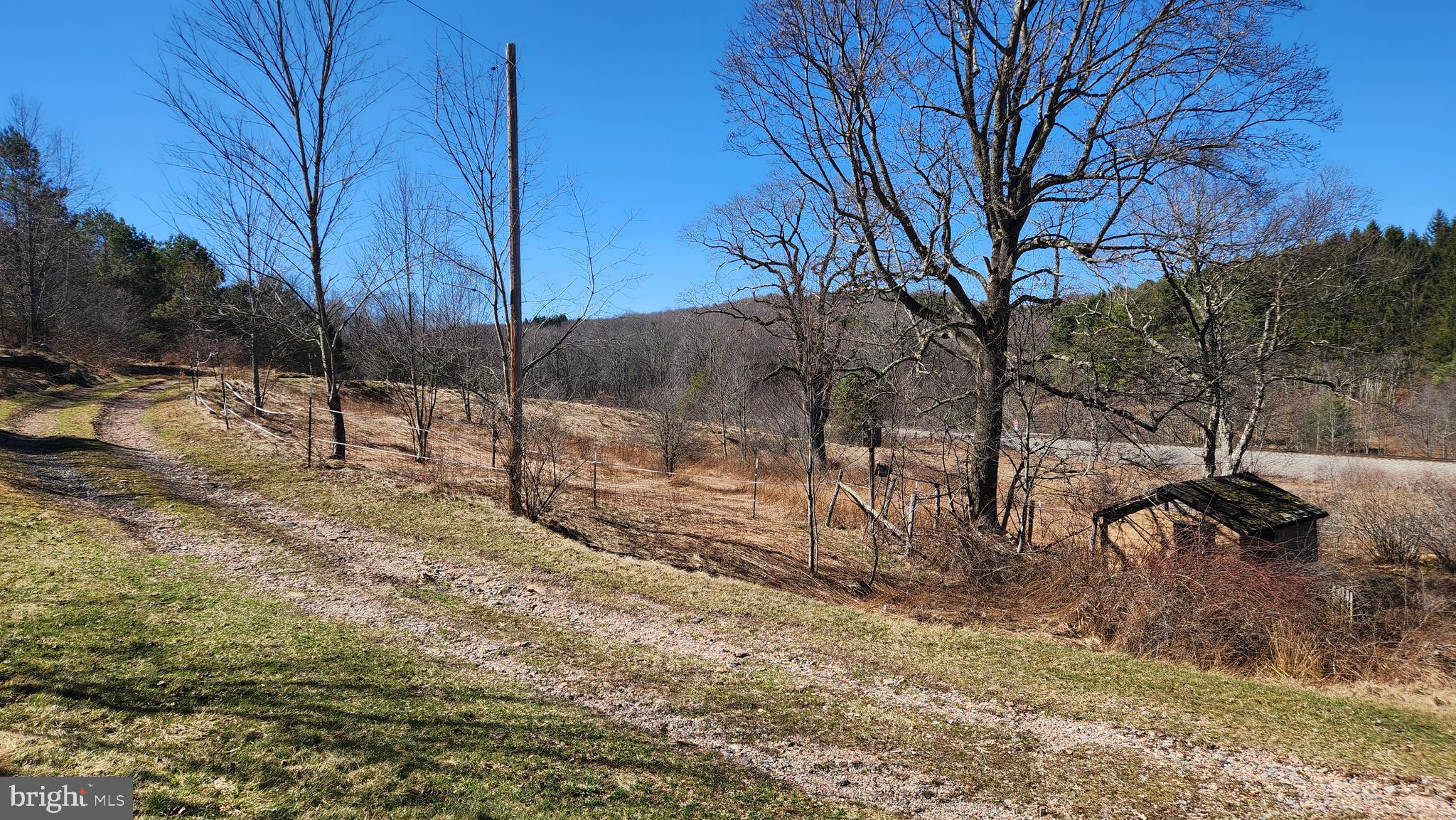 584 Old Wilson Road Swanton, MD 21561 - Photo 12 of 12 a backyard of a house with lots of green space