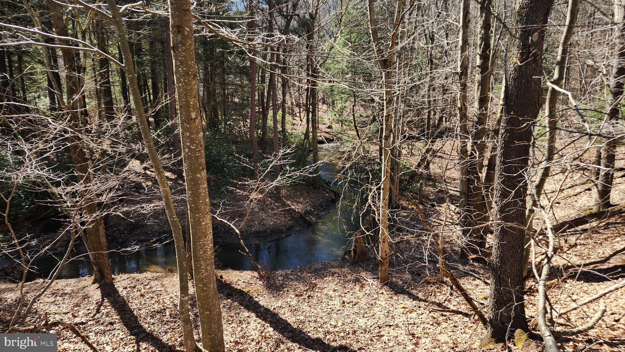 584 Old Wilson Road Swanton, MD 21561 - Photo 2 of 12 a view of a yard