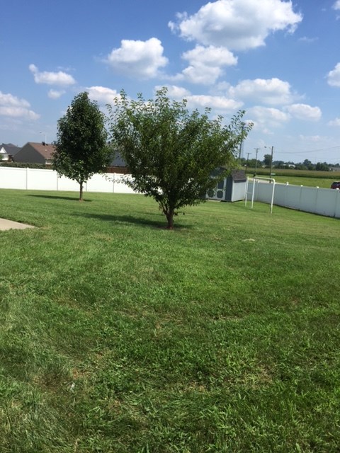 348 Tree Line Road Henderson, KY 42420 - Photo 13 of 16 Gallery Image 13