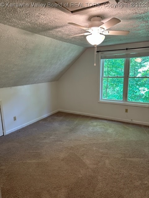 74 Chestnut Road Elkview, WV 25071 - Photo 21 of 50 Gallery Image 21