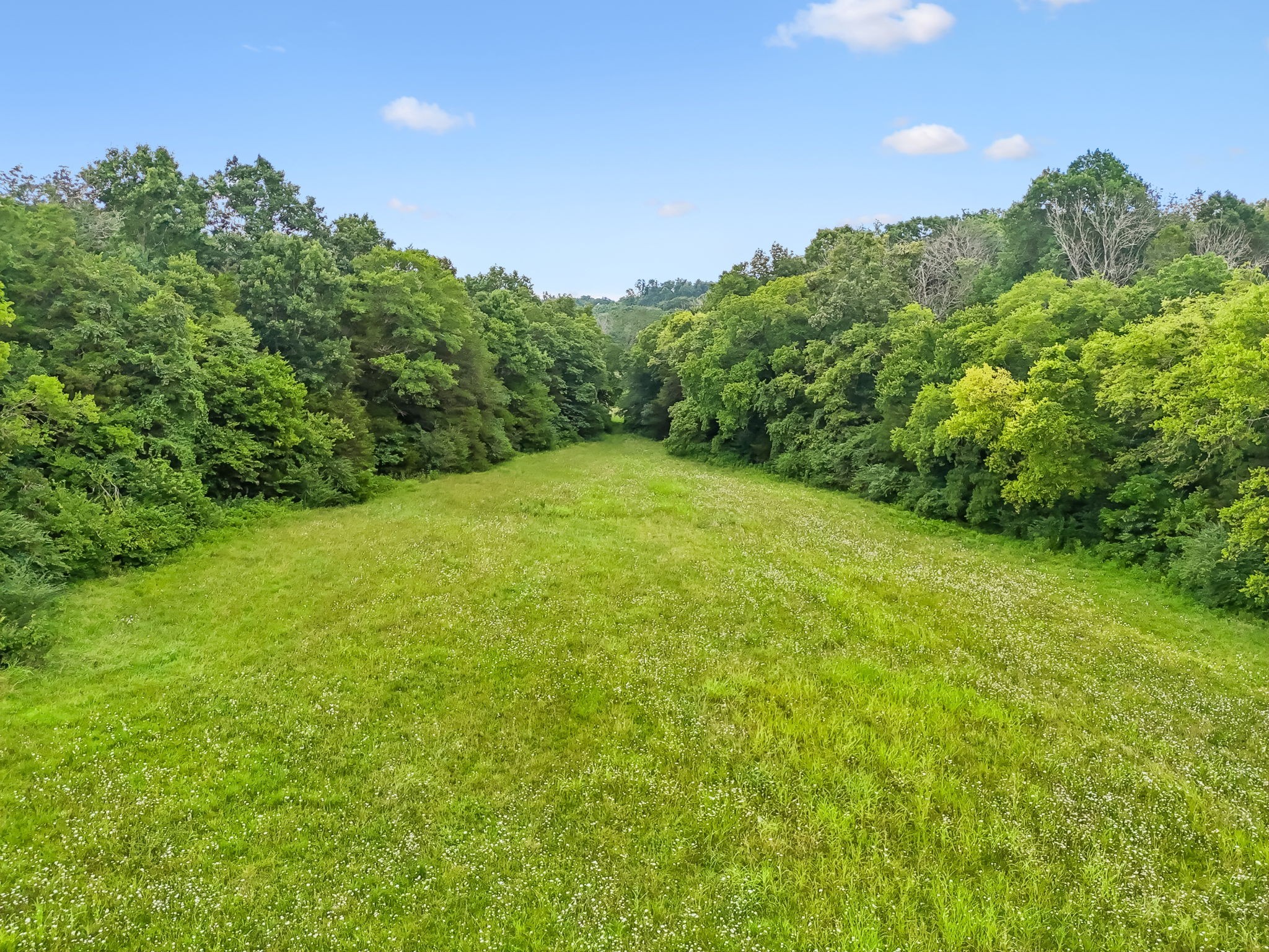 50 Bill Edde Road Belvidere, TN 37306 - Photo 93 of 96