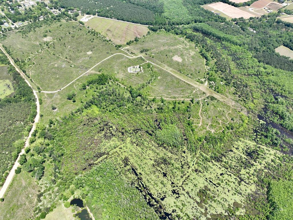 Lot E West Reeves Street Slocomb, AL 36375 - Photo 3 of 3