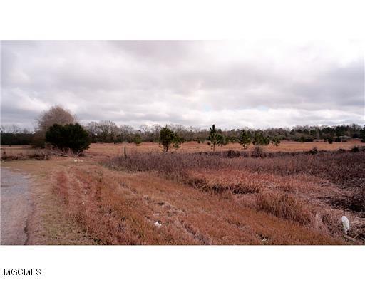 10-ac Albert Davis Road Lucedale, MS 39452 - Photo 2 of 4 20160728002137799233000000-o