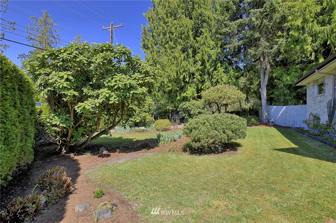 18611 North Road Bothell, WA 98012 - Photo 4 of 38 a view of a garden with plants and large trees