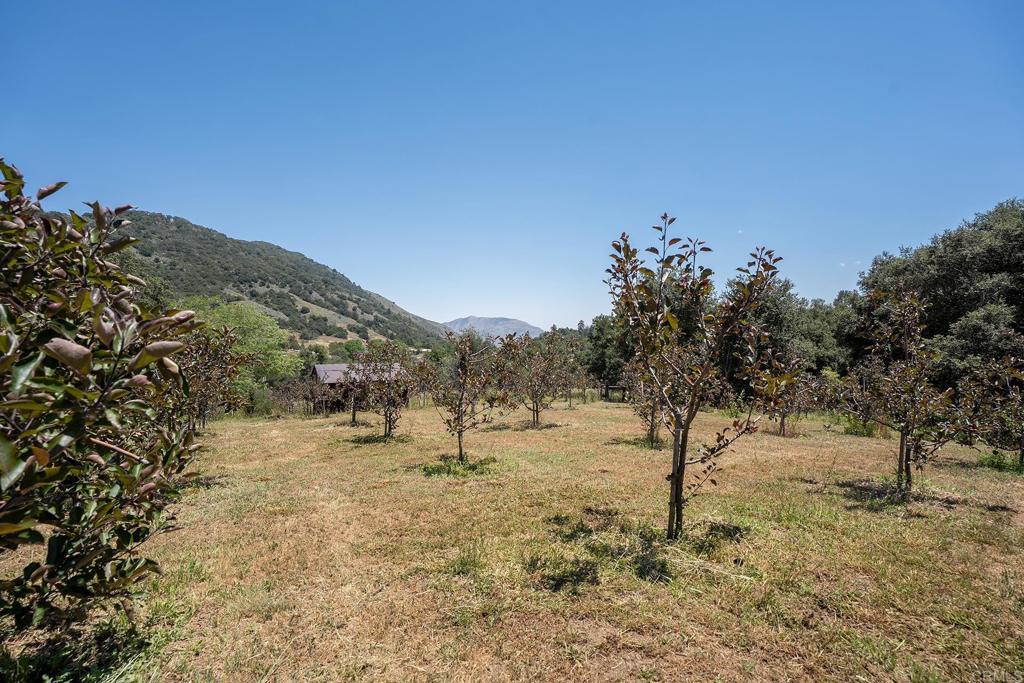 1315 Farmer Road Julian, CA 92036 - Photo 58 of 74
