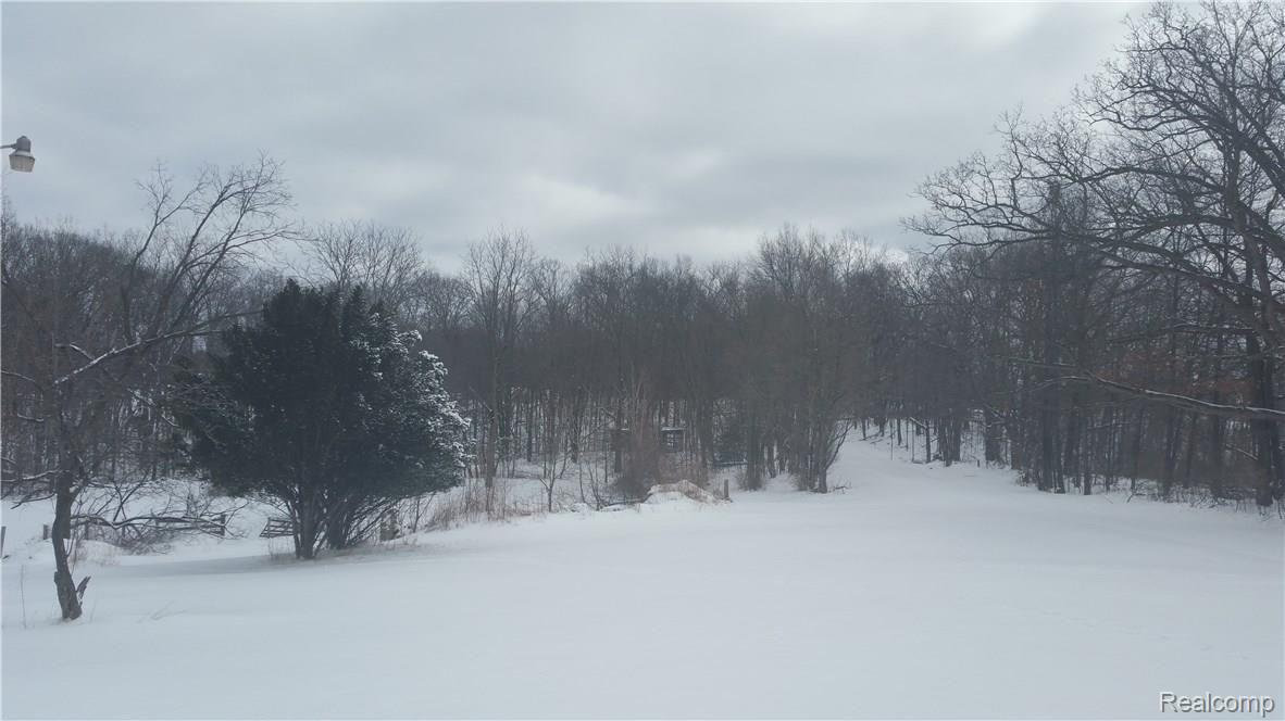8139 Brophy Road Howell, MI 48855 - Photo 2 of 8 20160302_113009.jpg