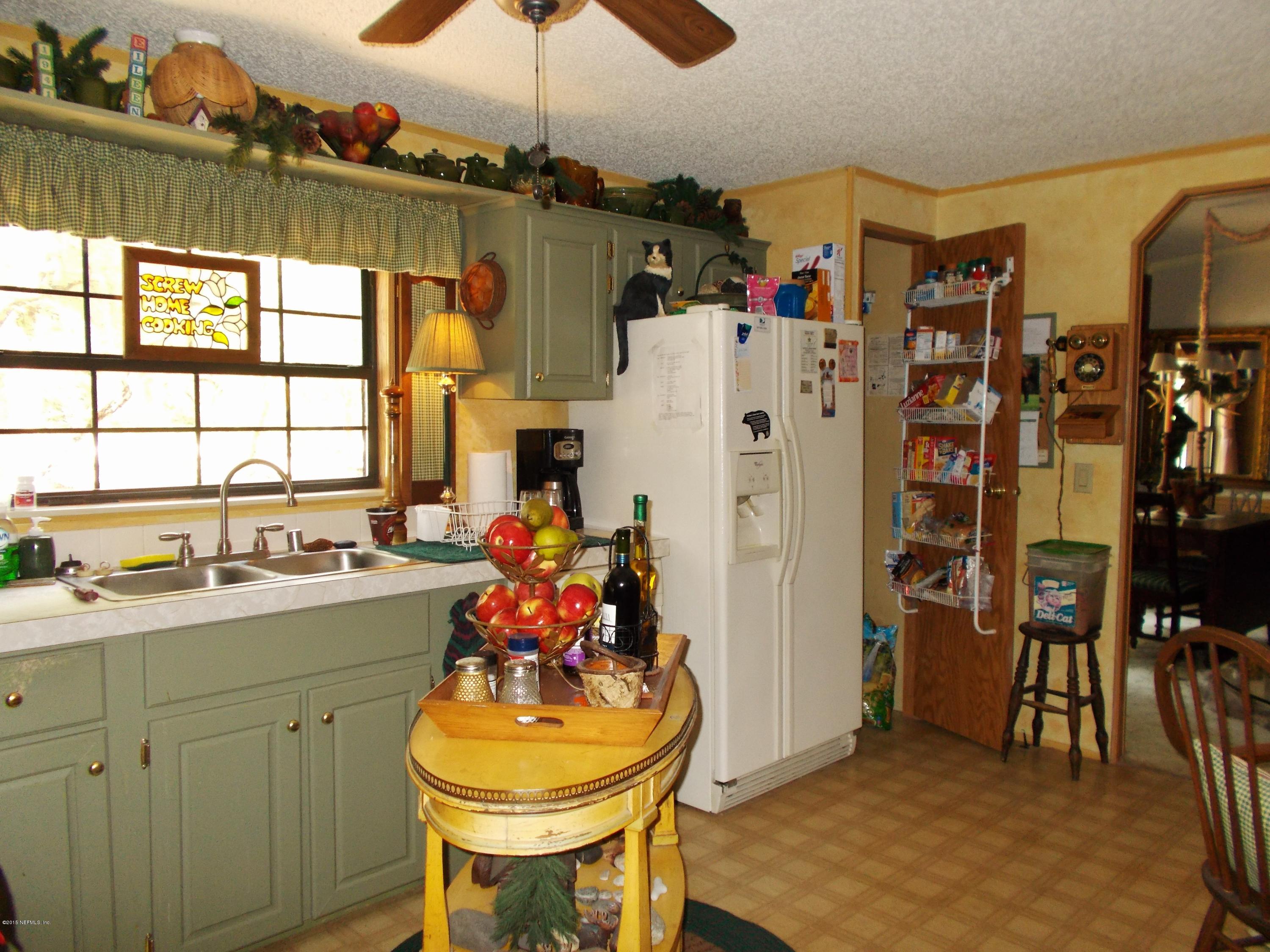 113 Palmetto Road Georgetown, FL 32139 - Photo 23 of 45 Kitchen view 2