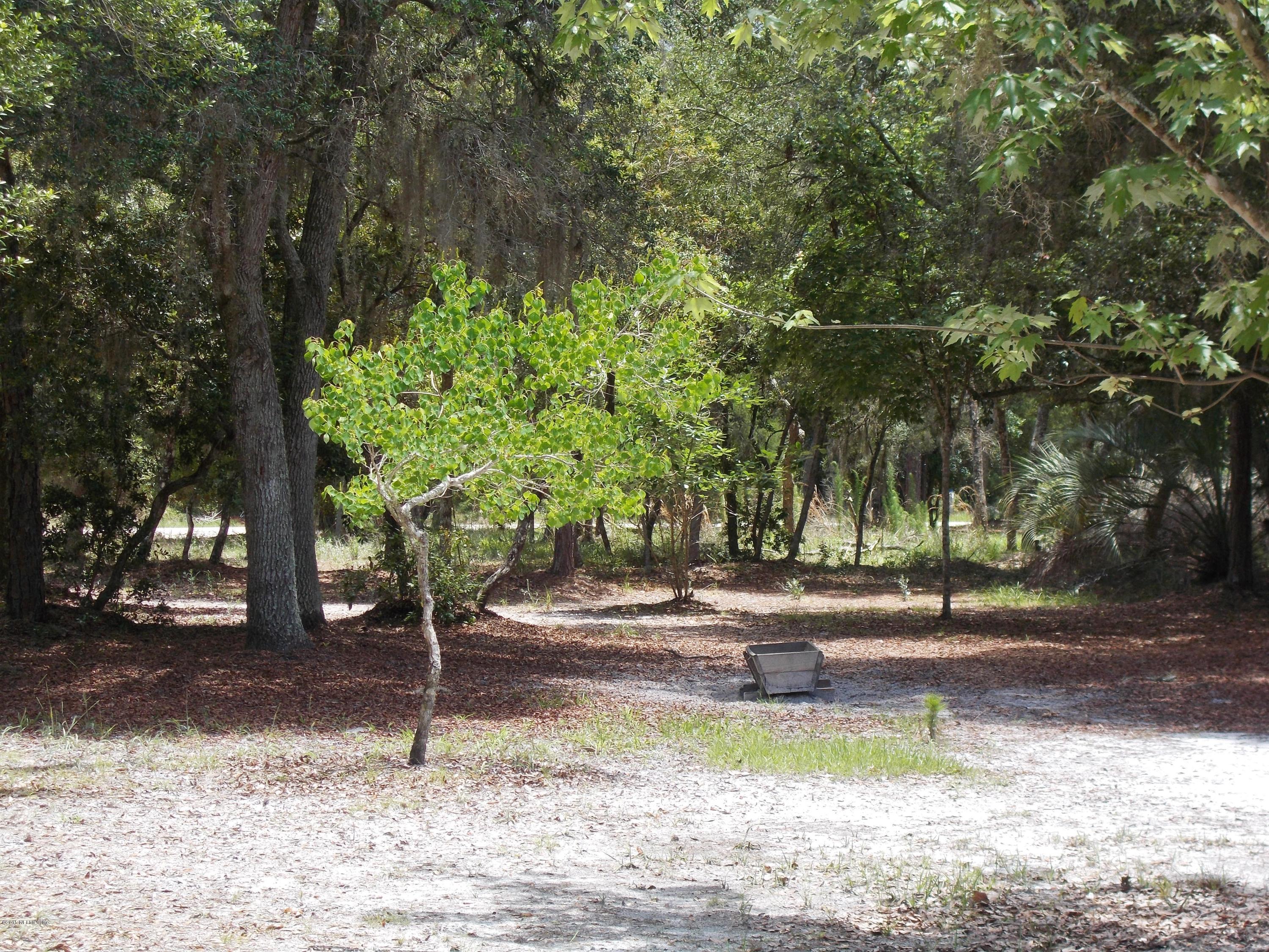 113 Palmetto Road Georgetown, FL 32139 - Photo 5 of 45 front yard