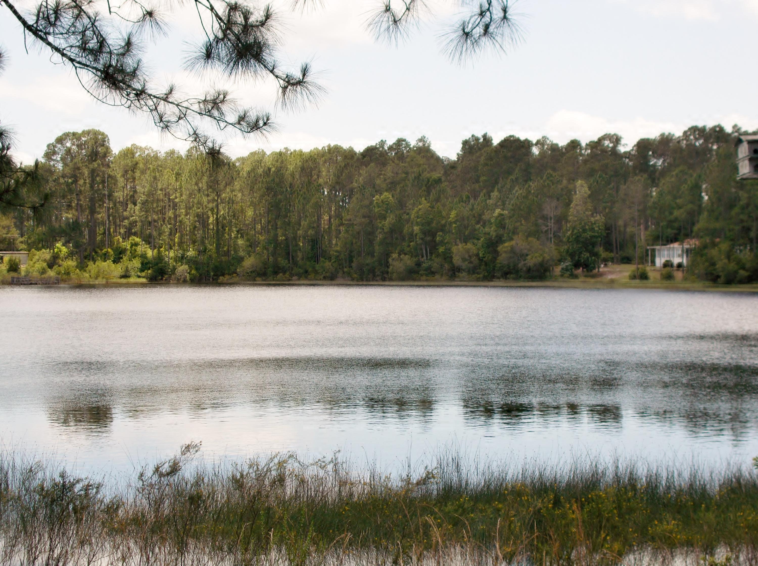 113 Palmetto Road Georgetown, FL 32139 - Photo 8 of 45 Lovely pond