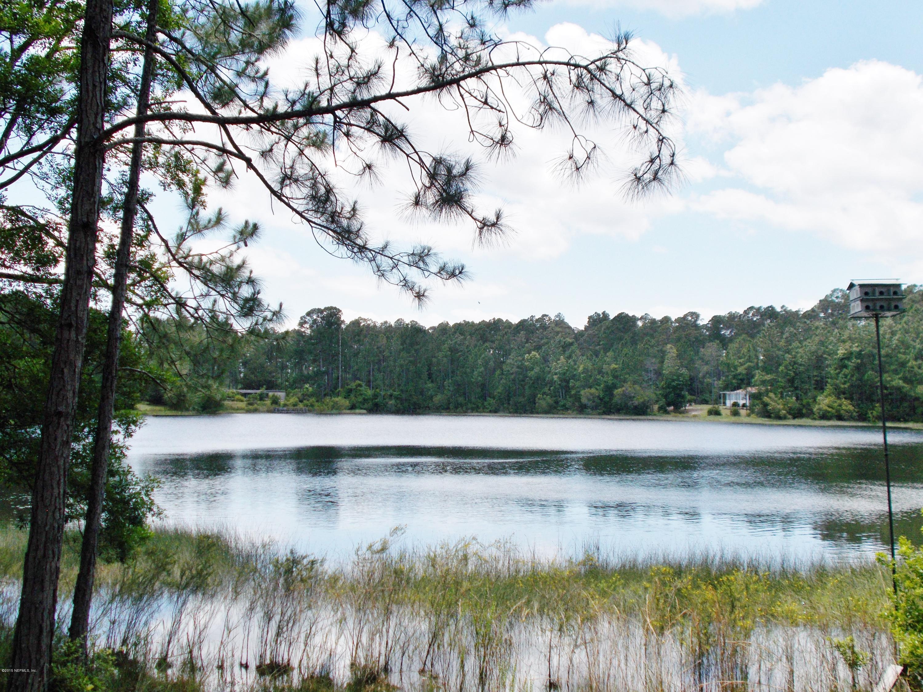 113 Palmetto Road Georgetown, FL 32139 - Photo 9 of 45 Pond view