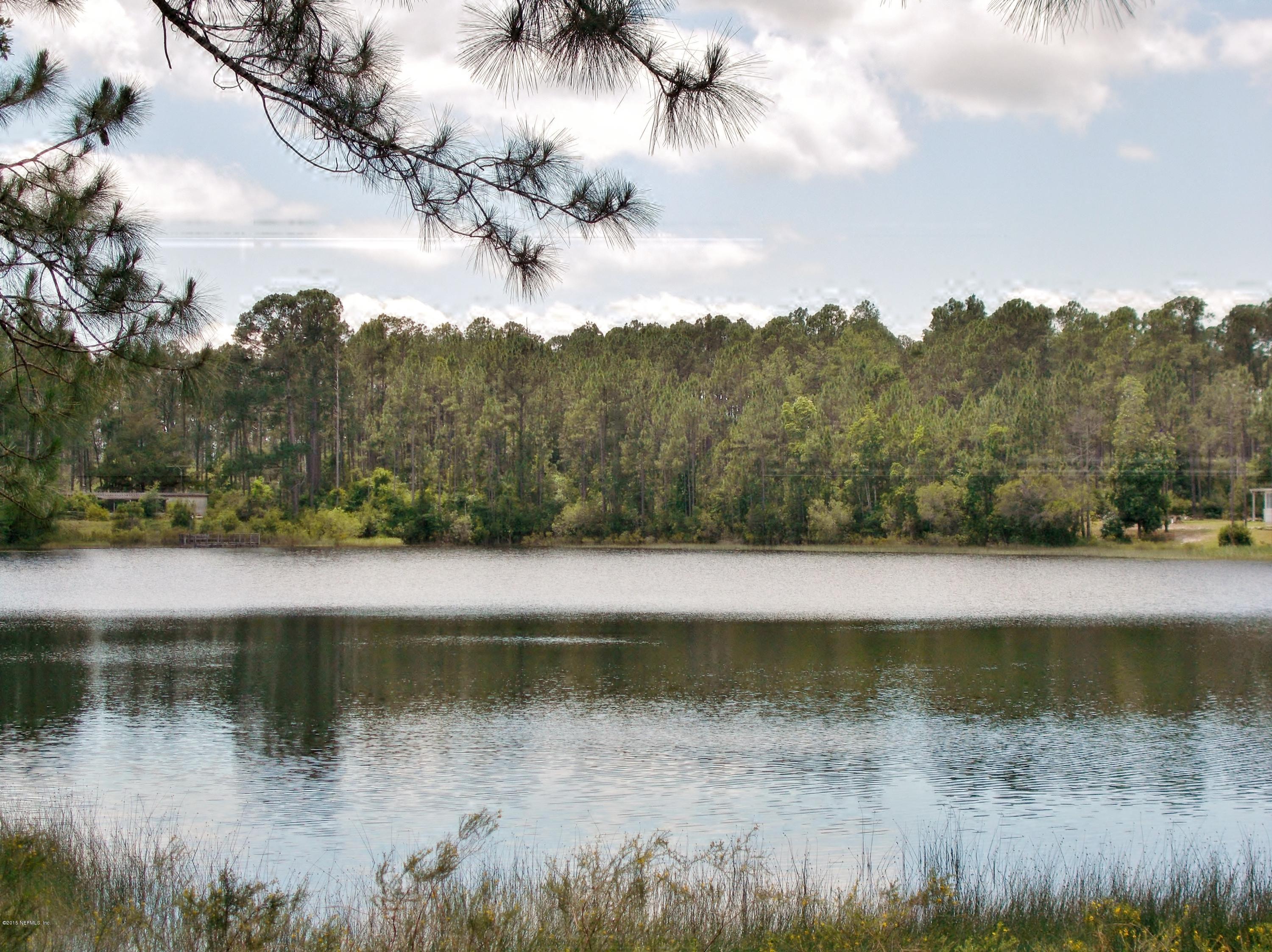 113 Palmetto Road Georgetown, FL 32139 - Photo 10 of 45 Pond view 2