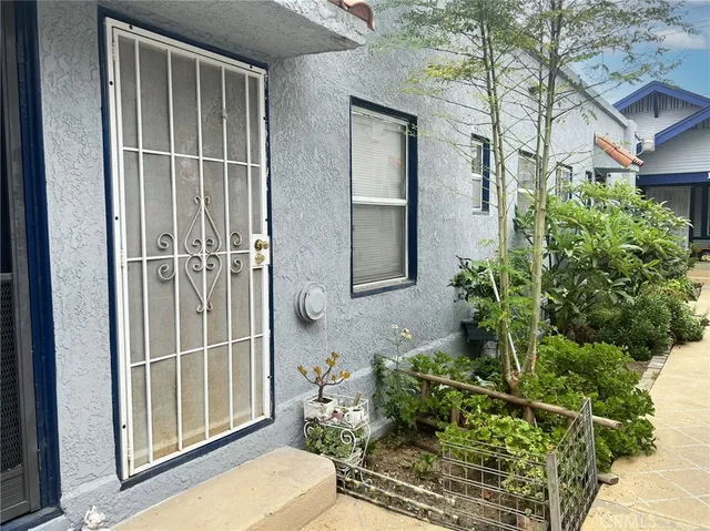 a view of a pathway with flower plants