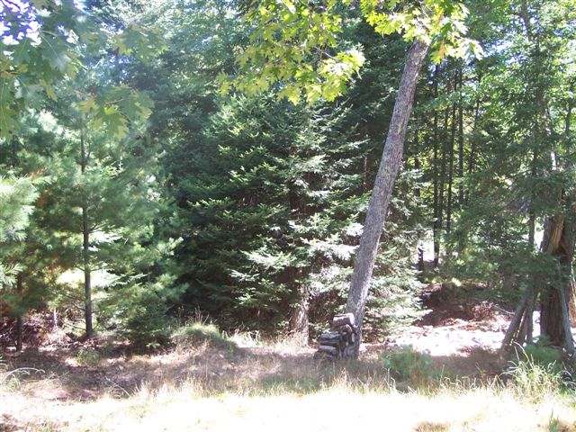 1505 Hug Road St. Germain, WI 54558 - Photo 10 of 17 Gallery Image 10