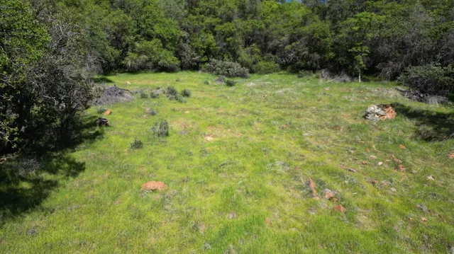 a view of outdoor space and trees