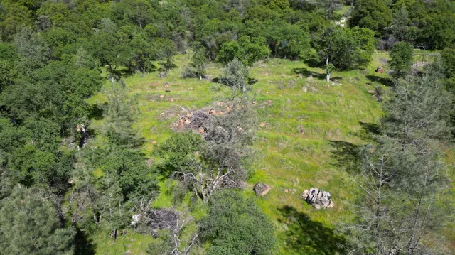 a view of a trees in a yard