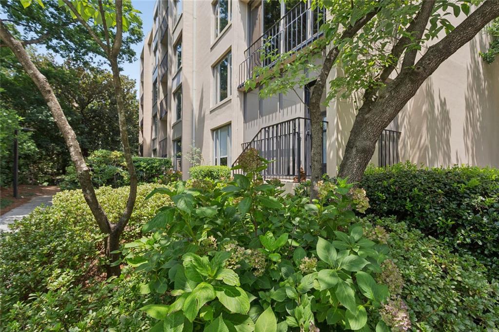 2765 Peachtree Road, Unit 6 Atlanta, GA 30305 - Photo 4 of 25 Gallery Image 4