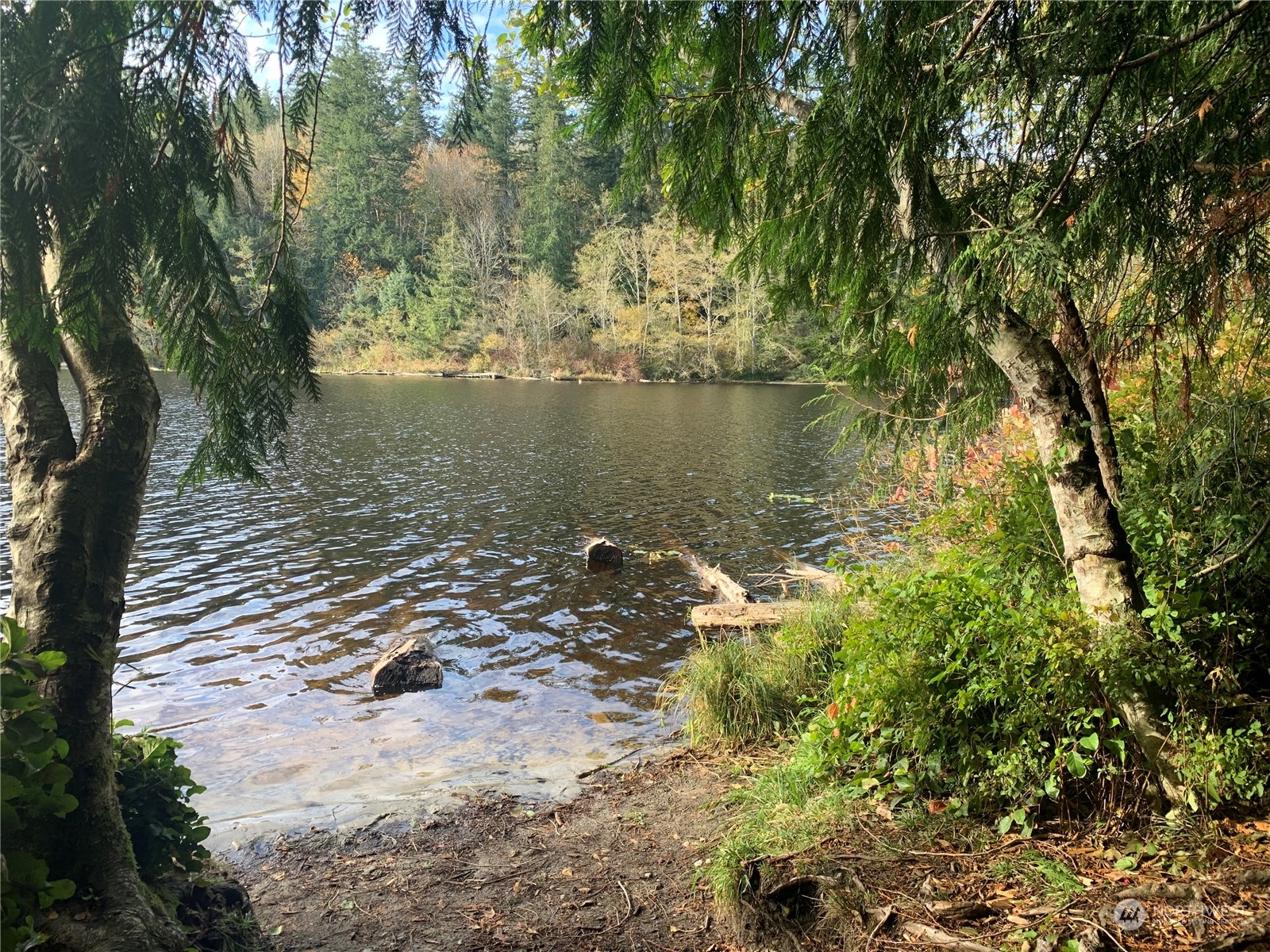 -xx Gibbs Lake Road Chimacum, WA 98325 - Photo 4 of 12 Gallery Image 4