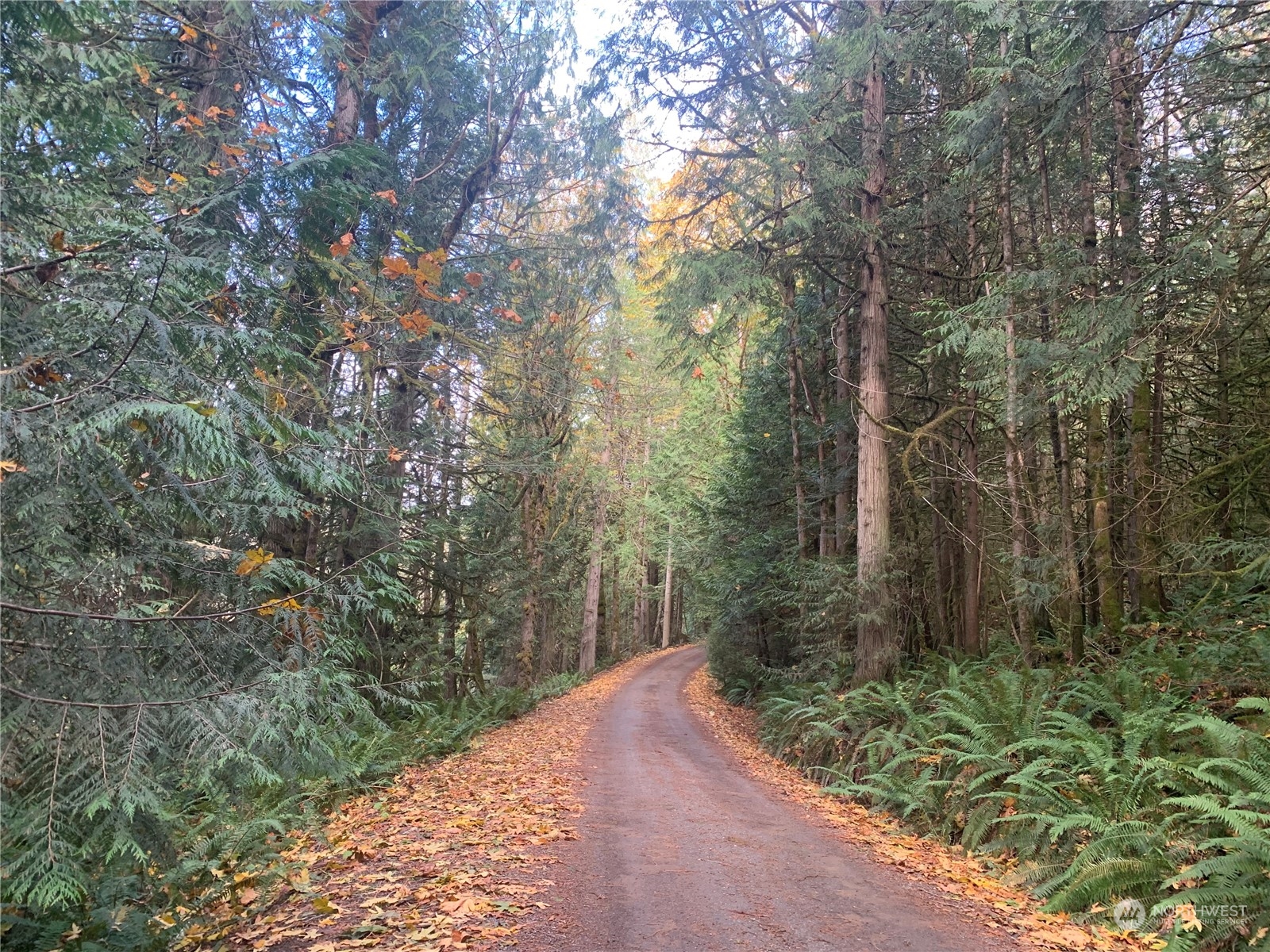 -xx Gibbs Lake Road Chimacum, WA 98325 - Photo 6 of 12 Gallery Image 6