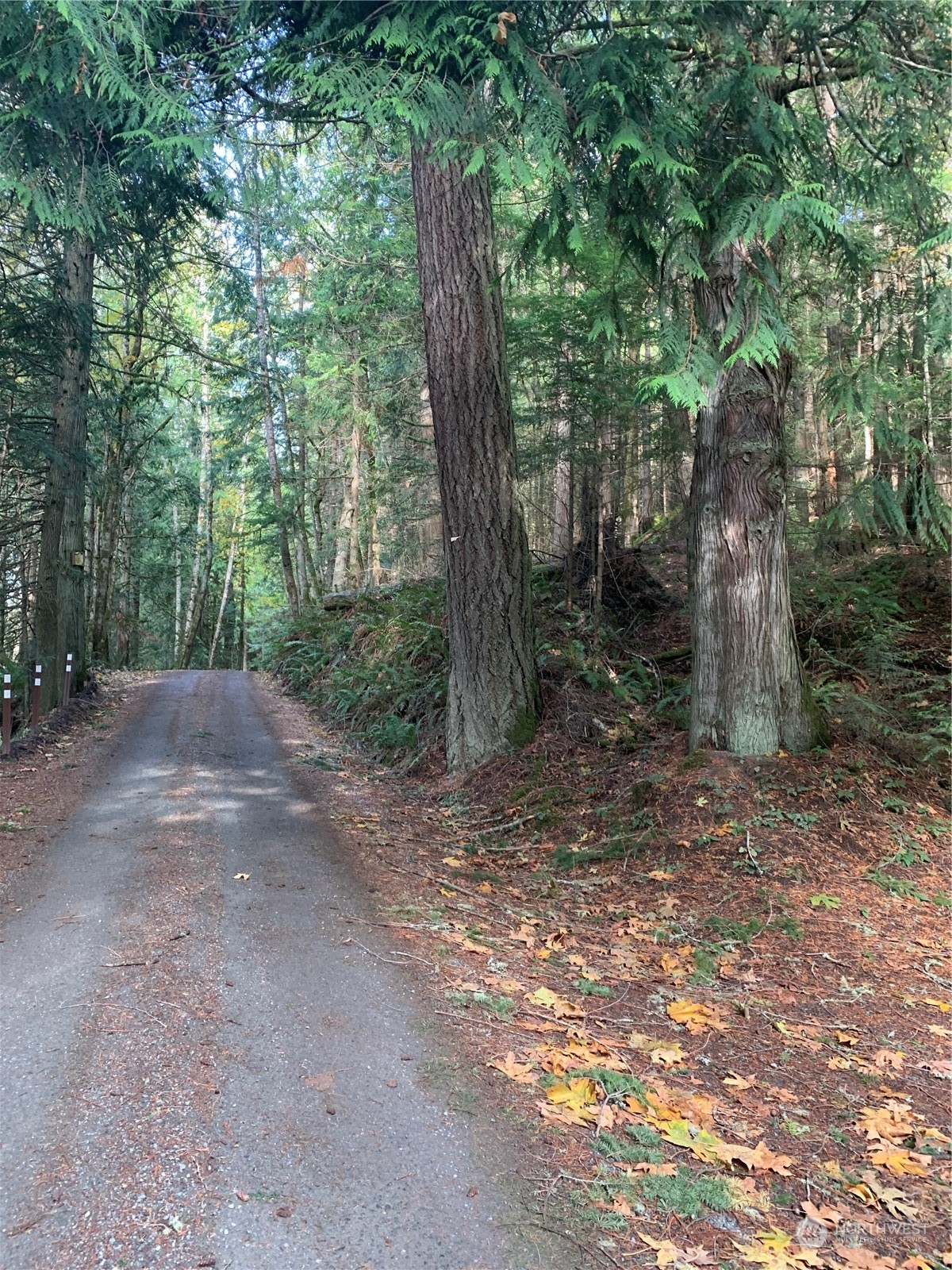 -xx Gibbs Lake Road Chimacum, WA 98325 - Photo 10 of 12 Gallery Image 10