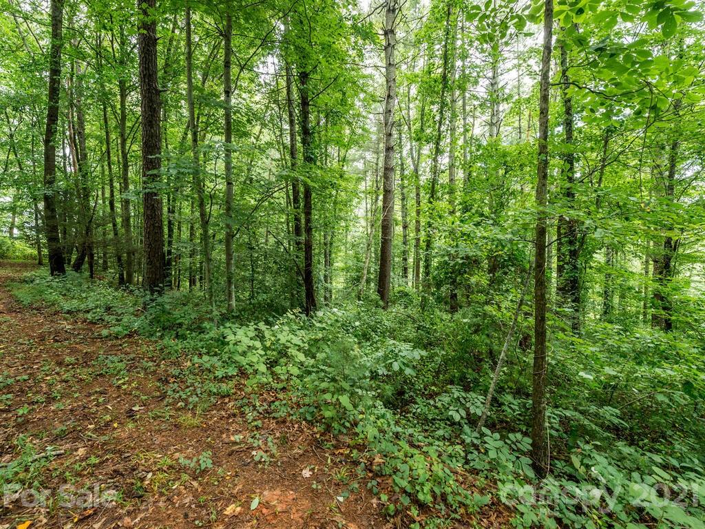 ### Meadows Town Road Marshall, NC 28753 - Photo 11 of 15 Gallery Image 11