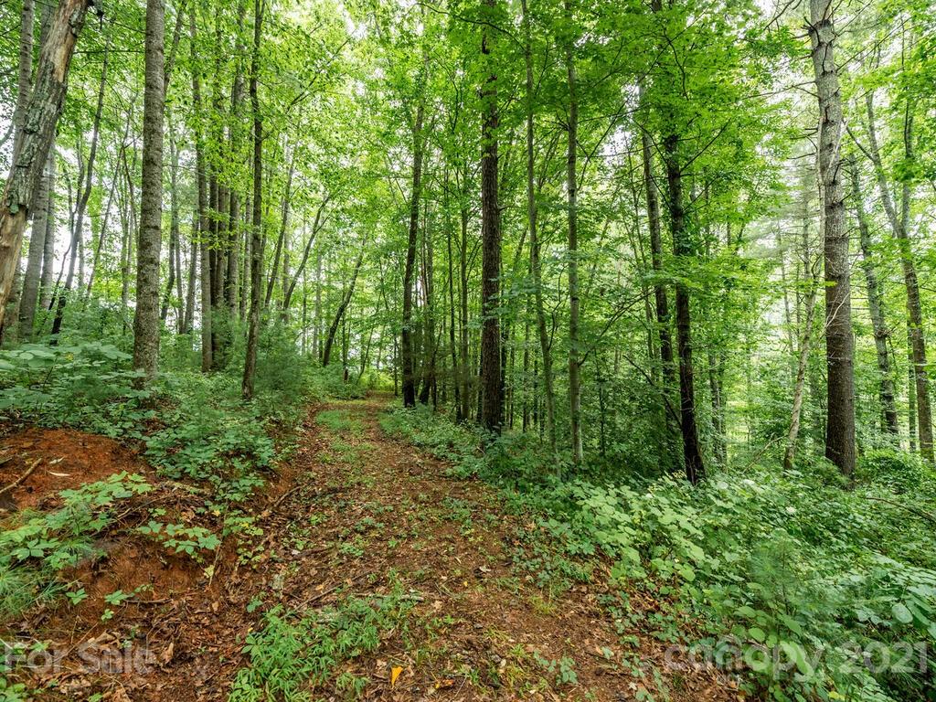 ### Meadows Town Road Marshall, NC 28753 - Photo 12 of 15 Gallery Image 12