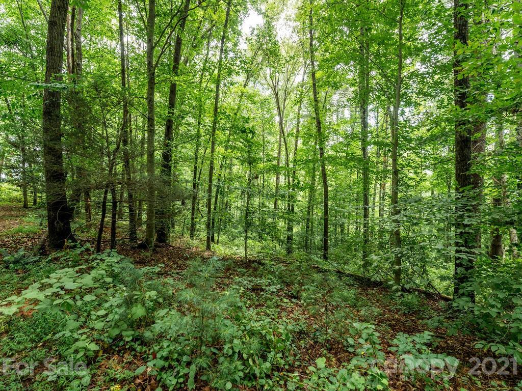 ### Meadows Town Road Marshall, NC 28753 - Photo 13 of 15 Gallery Image 13