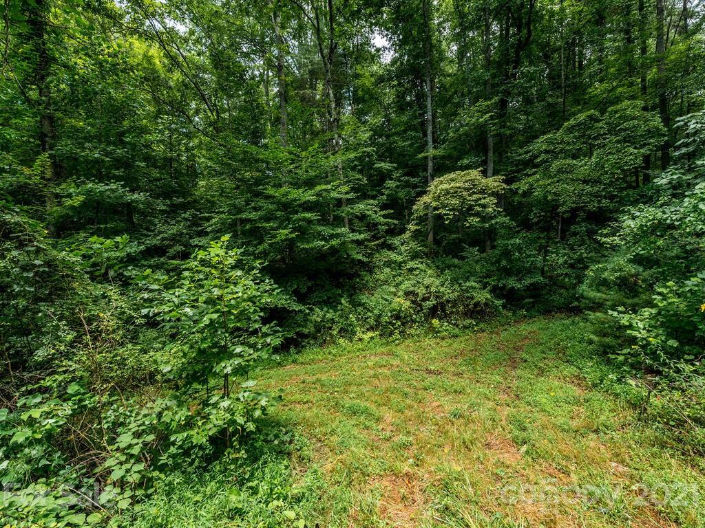 ### Meadows Town Road Marshall, NC 28753 - Photo 15 of 15 Gallery Image 15