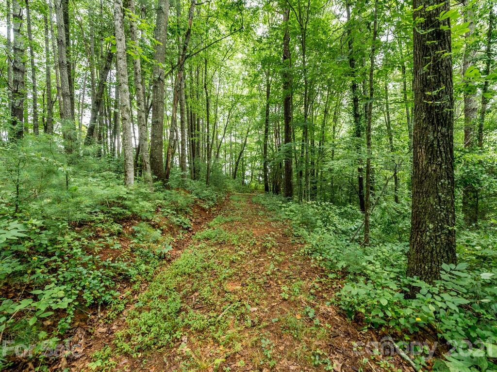 ### Meadows Town Road Marshall, NC 28753 - Photo 6 of 15 Gallery Image 6