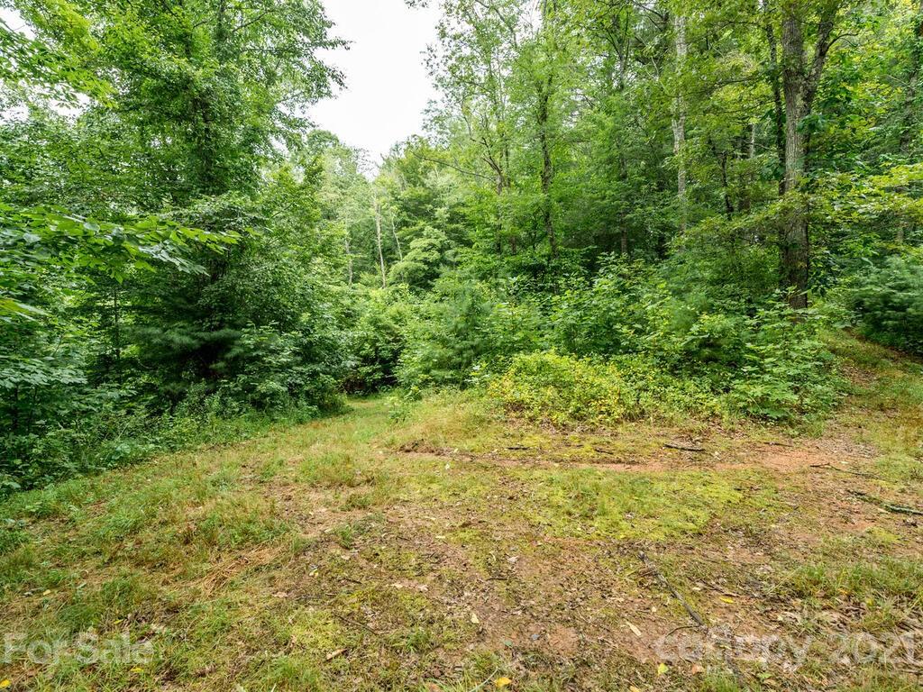 ### Meadows Town Road Marshall, NC 28753 - Photo 8 of 15 Gallery Image 8