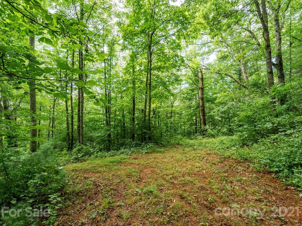 ### Meadows Town Road Marshall, NC 28753 - Photo 9 of 15 Gallery Image 9